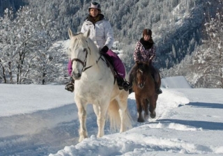 Passeios a cavalo 